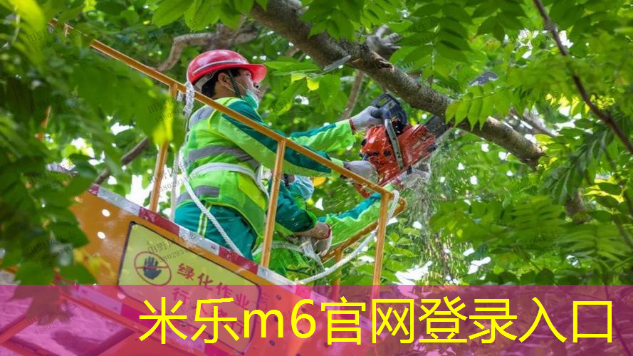 米乐m6官网登录入口：费德勒历年使用过的网球拍