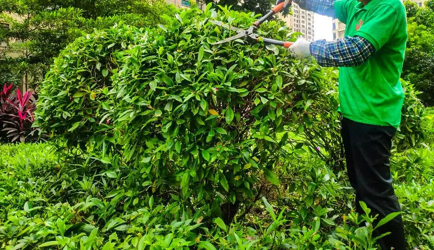 米乐：网球拍手胶底料英文