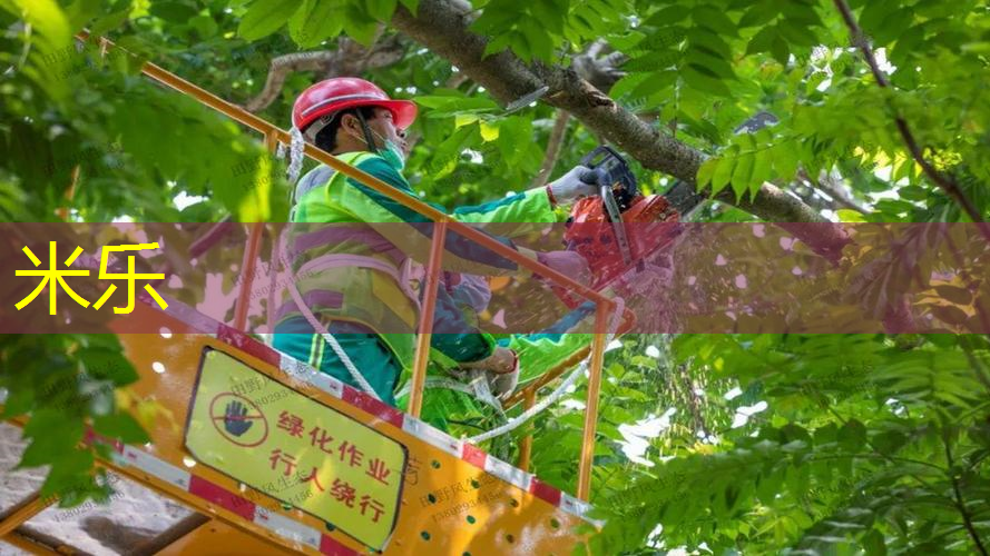 米乐：网球拍线裂了还能用吗_