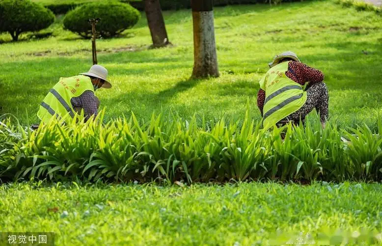 米乐m6官网登录入口：如何通过单杠训练增强下身力量？