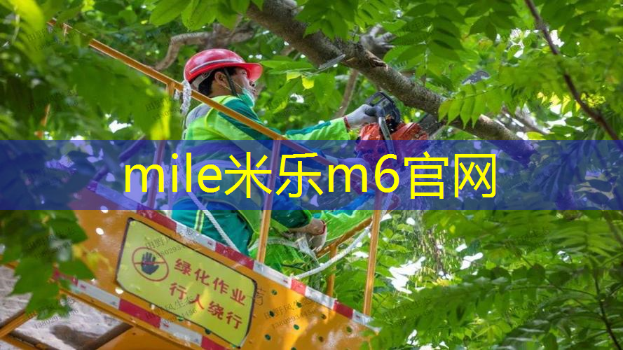 米乐m6官网：乒乓球台面应平整反光