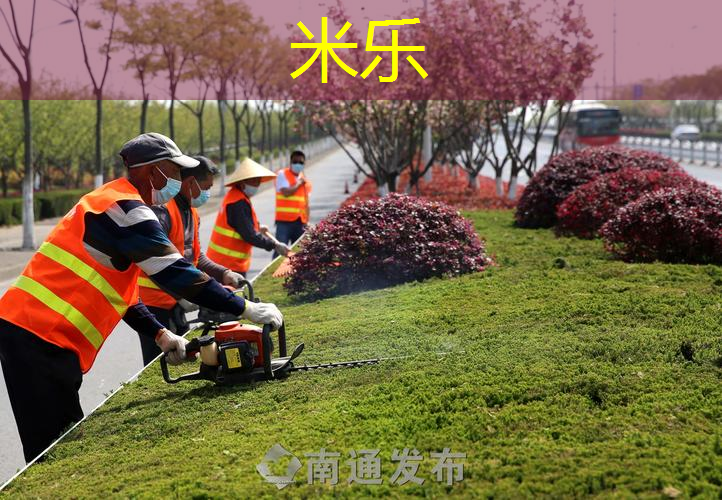 米乐m6官网：爸妈同行，增添别样趣味：家庭落地式单双杠给亲子时光平添欢乐