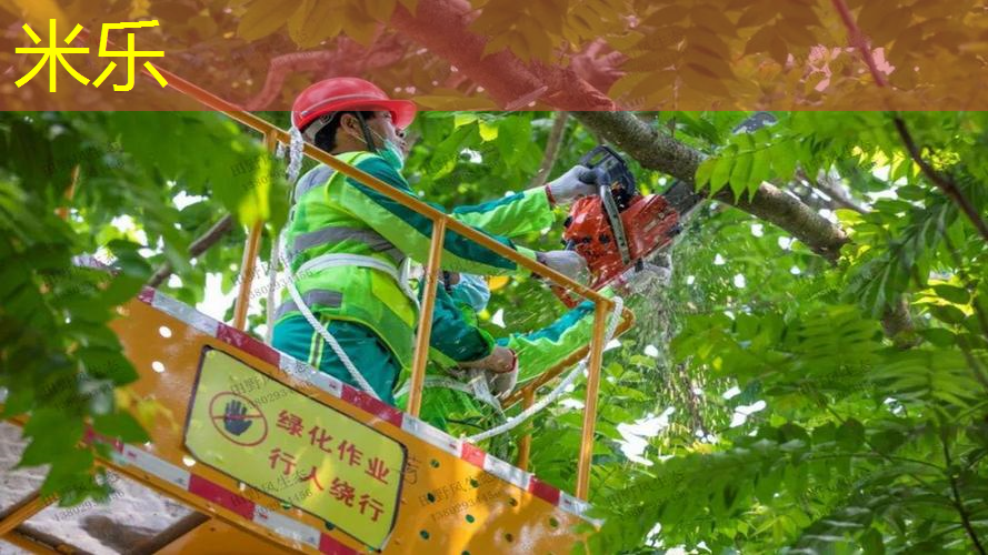 费德勒历年使用过的网球拍