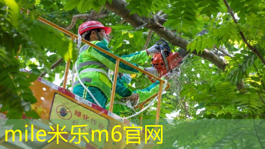 网球拍线裂了还能用吗_