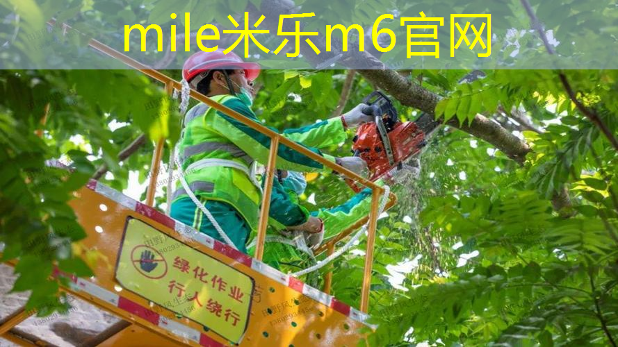 网球拍包内隔层多厚