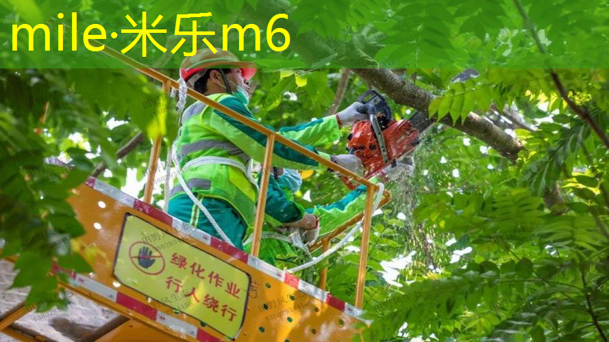 网球拍我拍在哪个位置