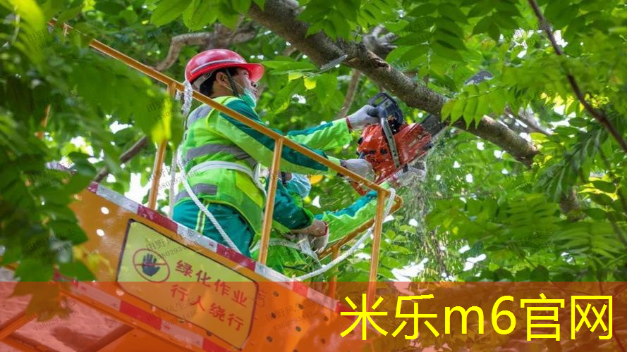 乒乓球台面应平整反光