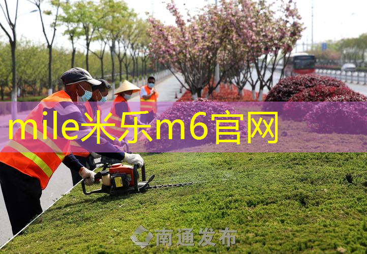 爸妈同行，增添别样趣味：家庭落地式单双杠给亲子时光平添欢乐